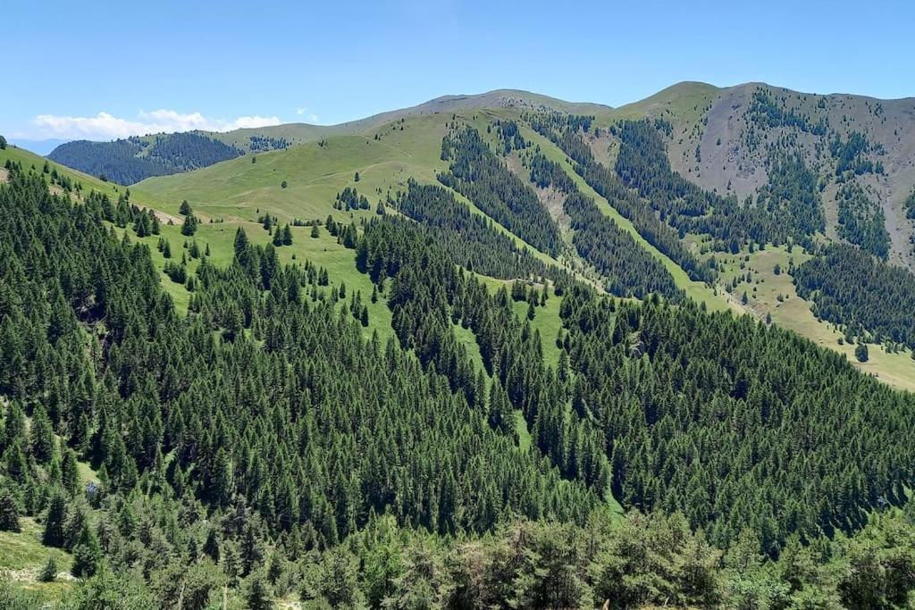 Studio Au Coeur De Valberg A Proximite Des Pistes Екстериор снимка