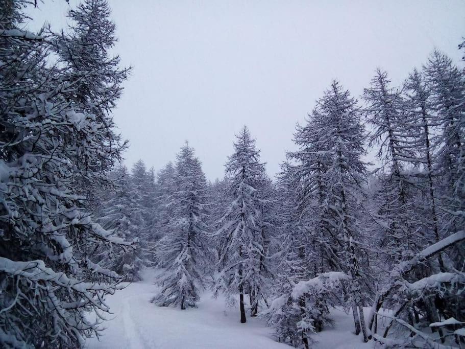 Studio Au Coeur De Valberg A Proximite Des Pistes Екстериор снимка