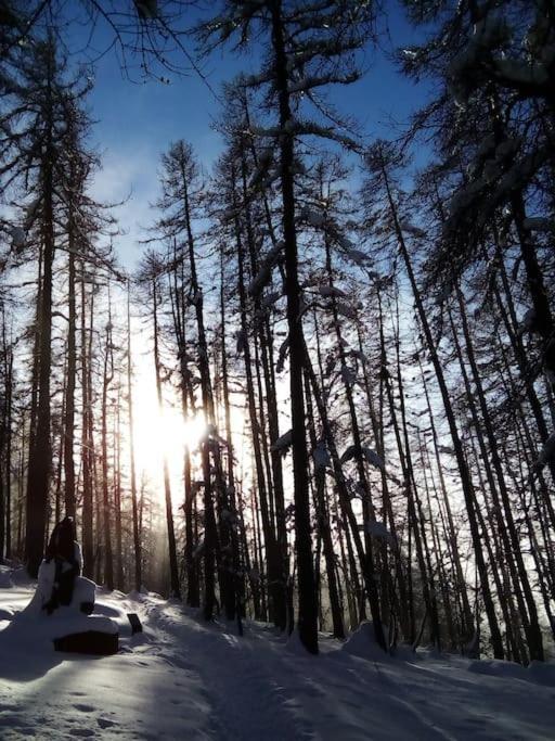 Studio Au Coeur De Valberg A Proximite Des Pistes Екстериор снимка